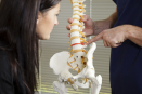 Gonstead chiropractic exam